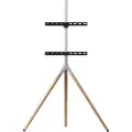 One For All 30 kg 65" 200 x 100 mm