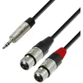 Adam hall 4 STAR Rean 3.5mm TRS Mini Jack to Twin XLR (F) Splitter Cable 1.8m