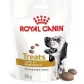 Royal Canin Urinary Treats hundesnack
