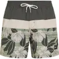 O'Neill Cali Block 15´´ Badeshorts