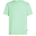 O'Neill Box Logo T-shirt Med Korte ærmer