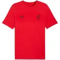 Puma AC Milan FtblEssentials Tee Men, Sport, Red/Black, XS
