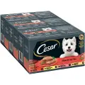 Cesar Classic Selection Mix - Classic Terrine (48 x 150 g)