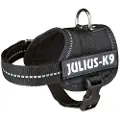 Julius-K9 Power Baby Hundeseletøj