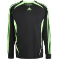 Adidas Originals Teamgeist Adicolor T-shirt Med Lange ærmer