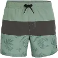 O'Neill Mix&match Cali Block 15´´ Badeshorts