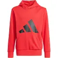 Adidas Essentials Big Logo Hættetrøje