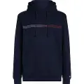 Tommy Hilfiger Sweatshirts Tommy Jeans TJM REG ENTRY GRAPHIC HOODIE EXT herre EU L