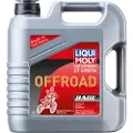 Liqui moly 2t Fully Synthetic 4l Motorolie