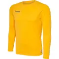 Hummel Firsperformance T-shirt Med Lange ærmer
