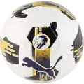 Puma Orbita 6 Spfl 24/25 Fodbold