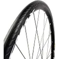 Tannus New Slick Regular Tubeless 700c X 25 Stiv Urbandæk