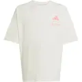 Adidas Mercedes-amg Petronas Formula One Team Summer Graphic T-shirt Med Korte ærmer