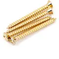 Fender Neck Mounting Screws Gold (4)