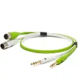 Neo Oyaide d+ TXM Class B (1/4 TRS to XLR Male) 1 Metre