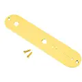 Fender Vintage Telecaster Control Plate 2-Hole (Gold)