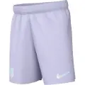 Nike Norge 2025/26 Stadium Away Nike Dri-FIT Replica-fodboldshorts til kvinder - lilla