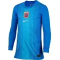 Nike Langærmet Norge 2025/26 Stadium Goalkeeper Nike Dri-FIT Replica-fodboldspillertrøje til større børn - blå