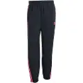 Adidas Originals Adicolor Woven Firebird Træningsbukser