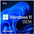 Microsoft Windows 11 Home 1 Licens(er)