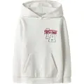 Name it Normal Pasform Hoodie