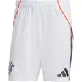 Adidas Fc Bayern 25/26 Væk Shorts