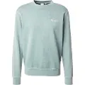 Pepe Jeans Pepe Jeanstil mænd. PM582918 Sweatshirt Sweatshirt Terrel grøn (S), Casual, Bomuld