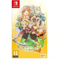 Nintendo Switch Rune Factory 3 Special