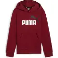 Puma Ess+ 2 Col Big Logo Hættetrøje