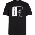 O'Neill Mix&match Palm T-shirt Med Korte ærmer