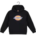 Dickies Youth Logo Hættetrøje