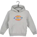 Dickies Youth Logo Hættetrøje