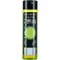 Iv San Bernard Atami Ginkgo Biloba Shampoo 300ml