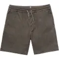 Volcom Frickin Elastic Shorts