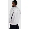 Blue Tomato Don't Hate, Go Skate Sweater grå
