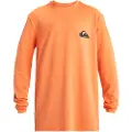 Quiksilver Everyday Surf Langærmet Rashguard