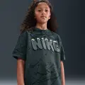 Nike SB Dri-FIT-skatertrøje til større børn - grå