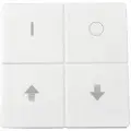 Light Solutions Lightbee Zigbee tangent med ikoner