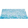 Trixie Cooling Plate 35x25 cm blue