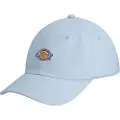 Dickies Hardwick Kasket