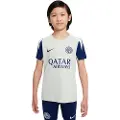 Nike Inter Milan Strike Nike Dri-FIT-fodboldtrøje med korte ærmer til større børn - grå