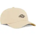 Dickies Essential Dad Kasket