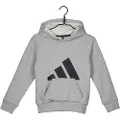 Adidas Essentials Big Logo Hættetrøje