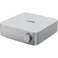 WIIM AMP - Silver