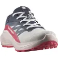Salomon Alphaglide Goretex Trailsko