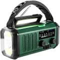 Lippa Nødradio - AM/FM - Solar - Dynamo - Kompas - 10.000 mAh Power Bank - AM/FM - Mono - Grøn