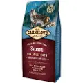 Carnilove Sensitive & Long Hair Kattefoder - Laks - 2 kg