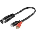 Pro DIN 5 pins M - 2xRCA F - 0.2m
