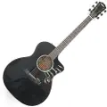 Taylor Guitars Taylor 214ce-BLK Plus Grand Auditorium Electro Acoustic Black