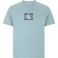 Calvin Klein Calvin Kleintil mænd. LV04RC854G T-shirt 30'erne Box Graphic grønlig blå (XXL), Casual, Bomuld, Korte ærmer